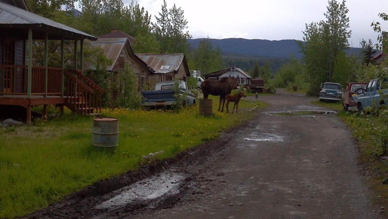 Blackburn Cabins - Mccarthy, Alaska Dış mekan fotoğraf