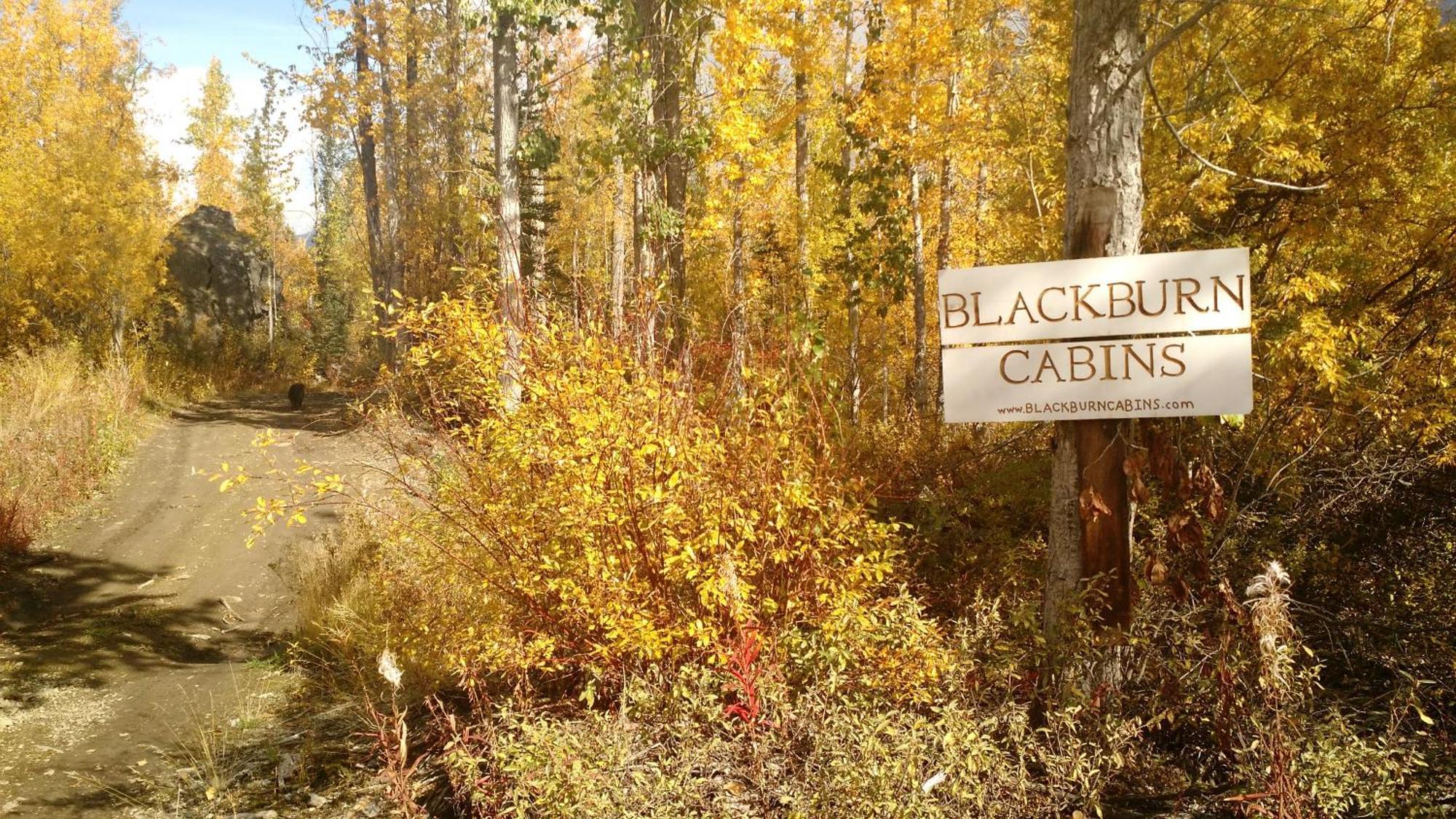 Blackburn Cabins - Mccarthy, Alaska Dış mekan fotoğraf